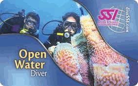 Begin Scuba