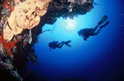 Costa Rica Diving with High Sierra Divers