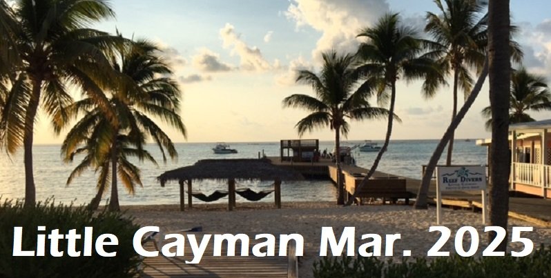Little Cayman 2025