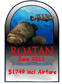 http://www.hsdivers.com/infinity.html
